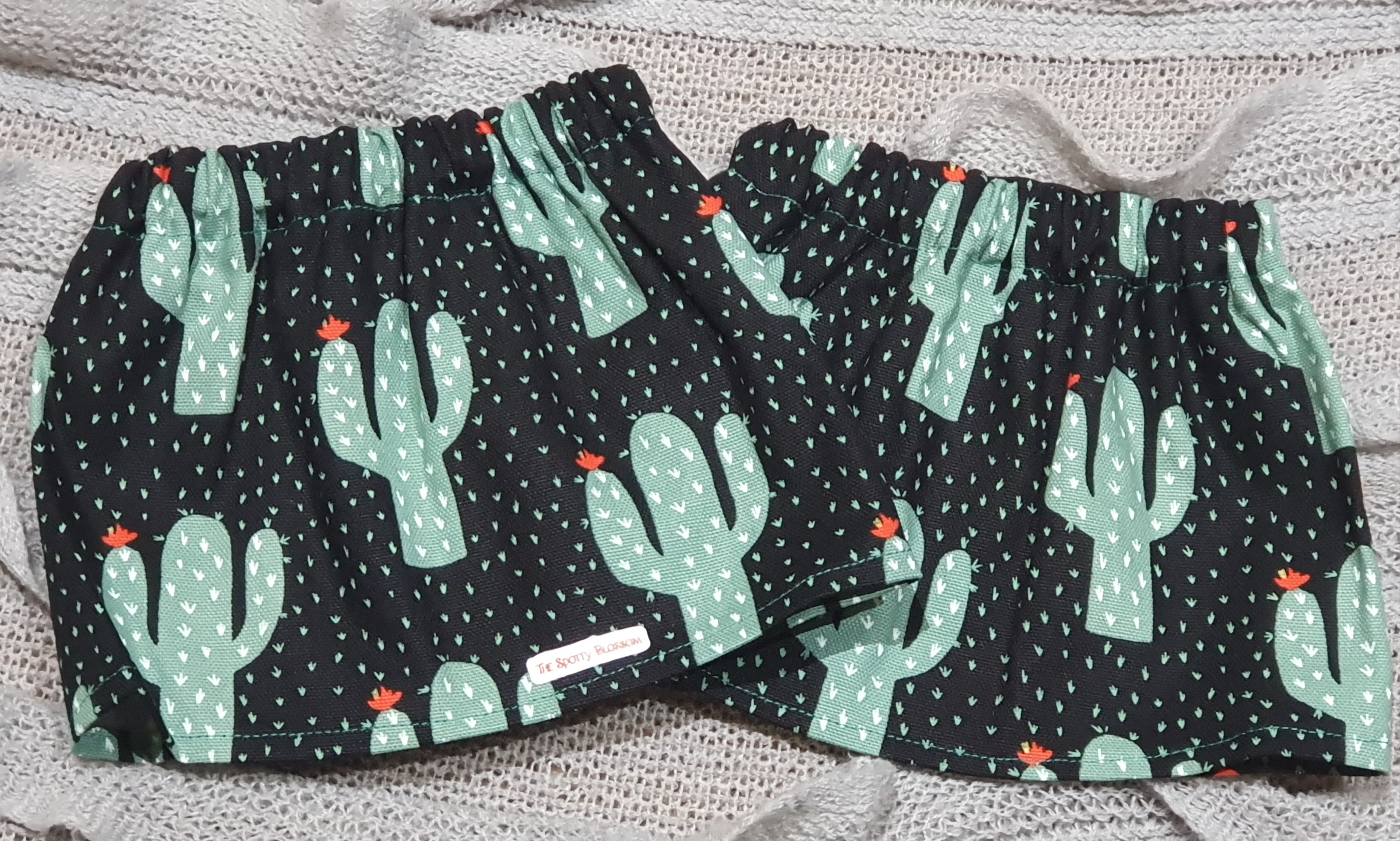Cactus
